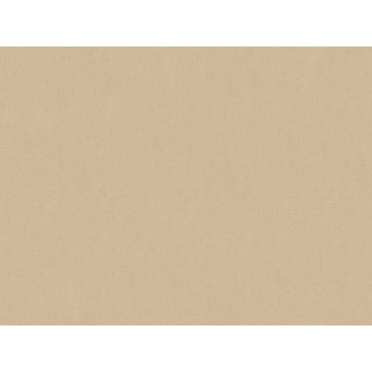 Oxford Velvet-Sand