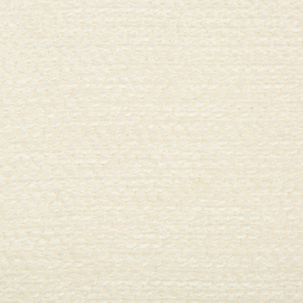 Lonsdale-Ivory