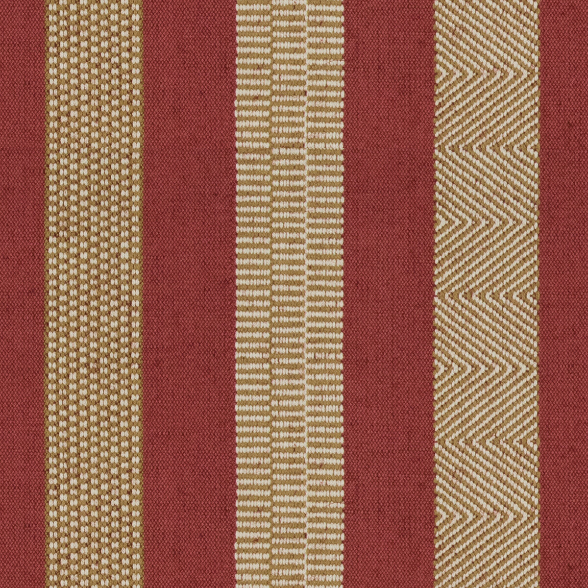 Berber-Rhubarb/Oro