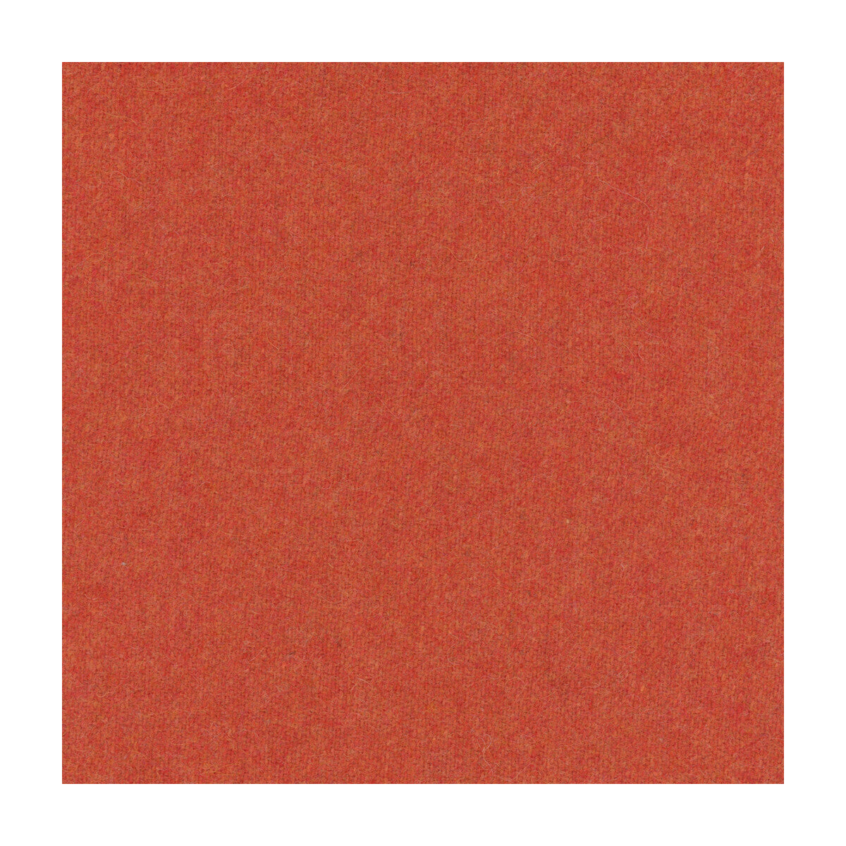 Skye Wool-Persimmon