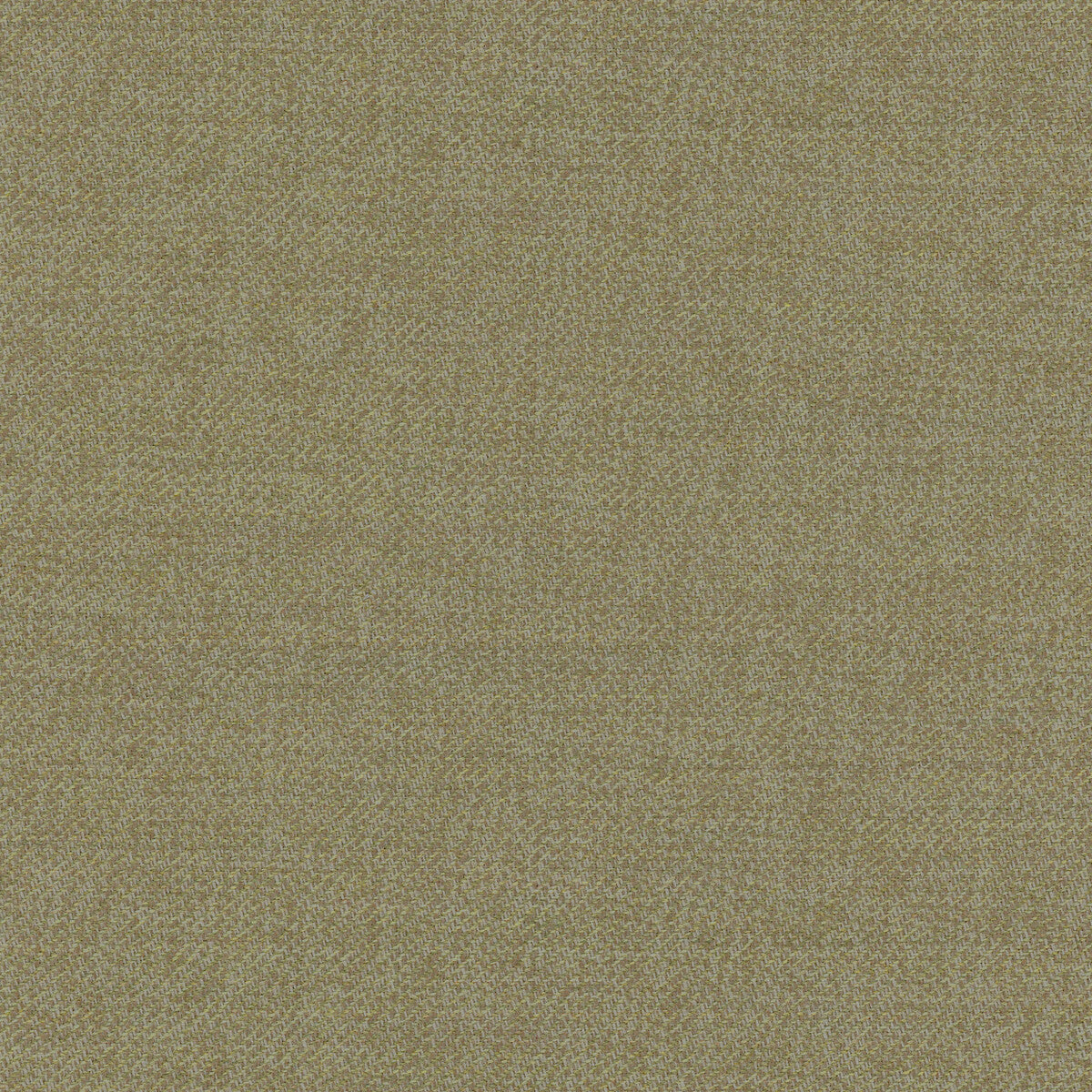 Quartzite Wool-Tarragon