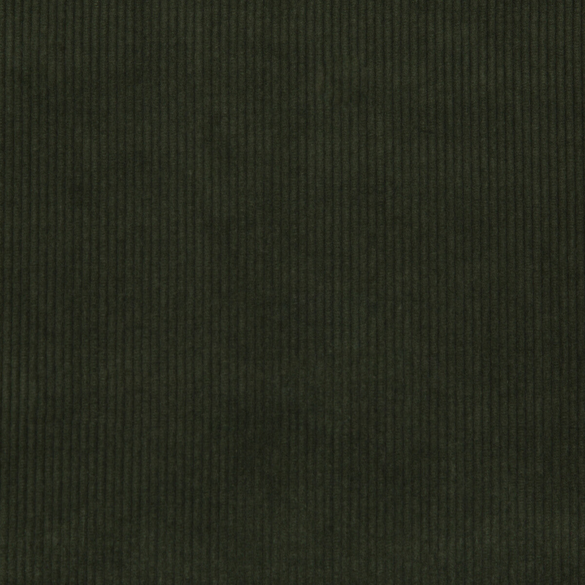 Saranac Cord-Loden