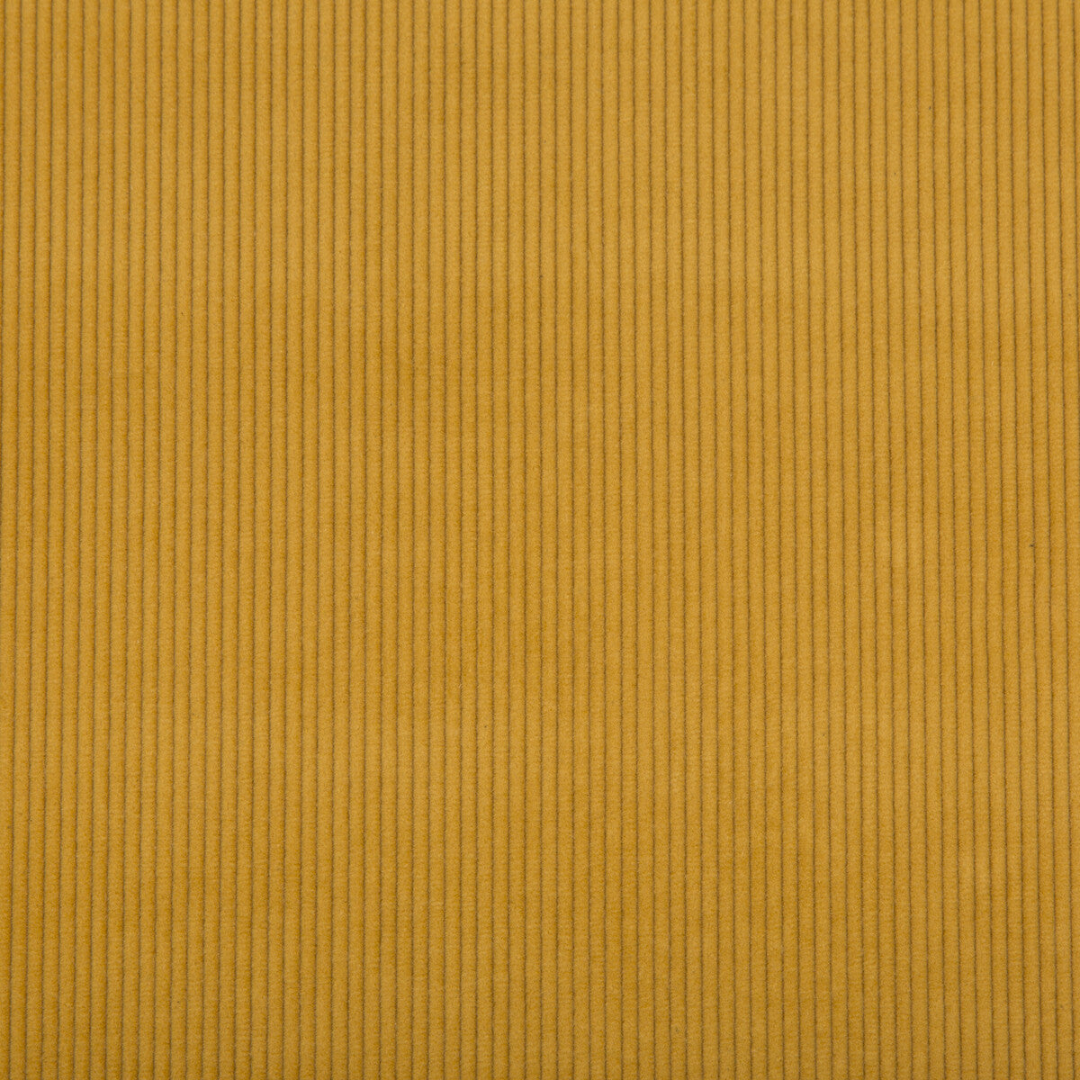 Saranac Cord-Gold