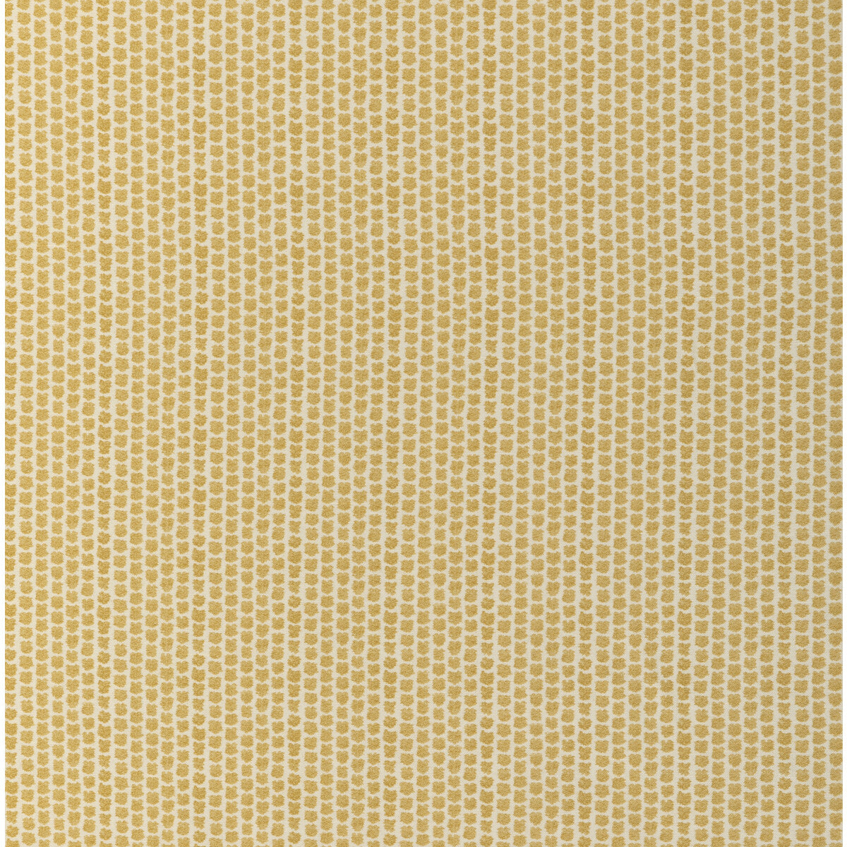 Kaya Ii-Maize