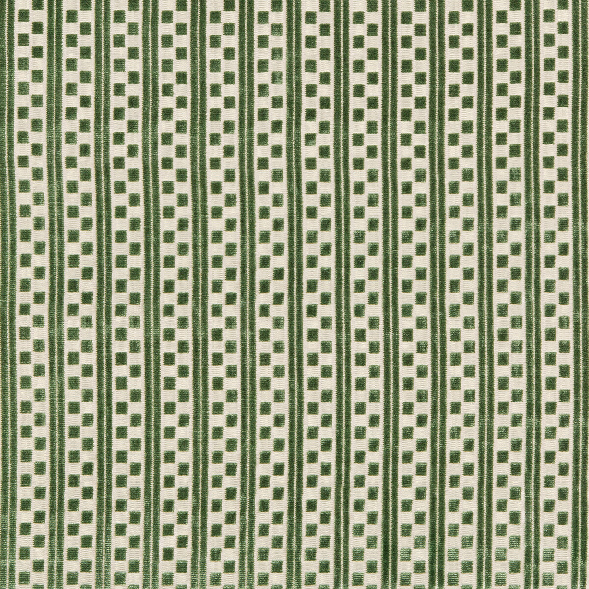 Lawrence Velvet-Leaf