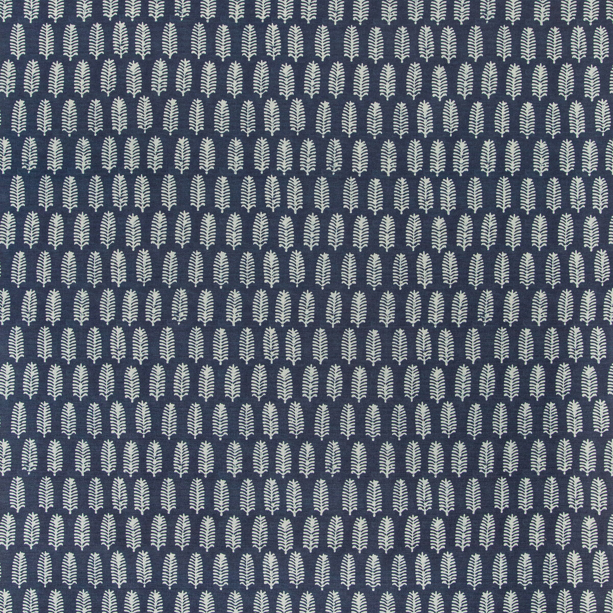 Palmier-Indigo