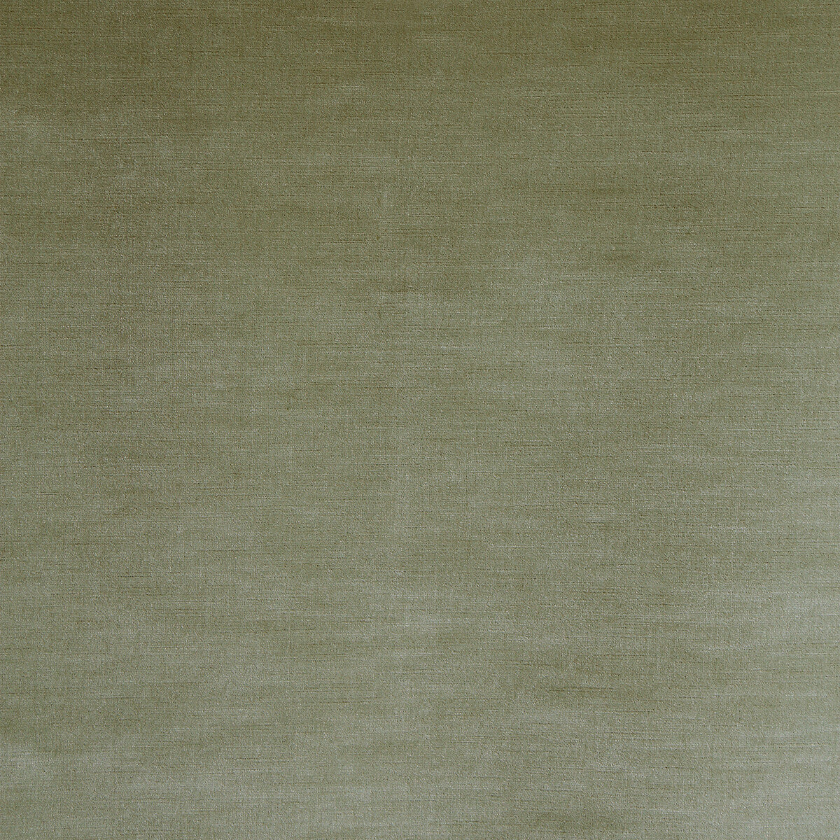 Arezzo-Celadon