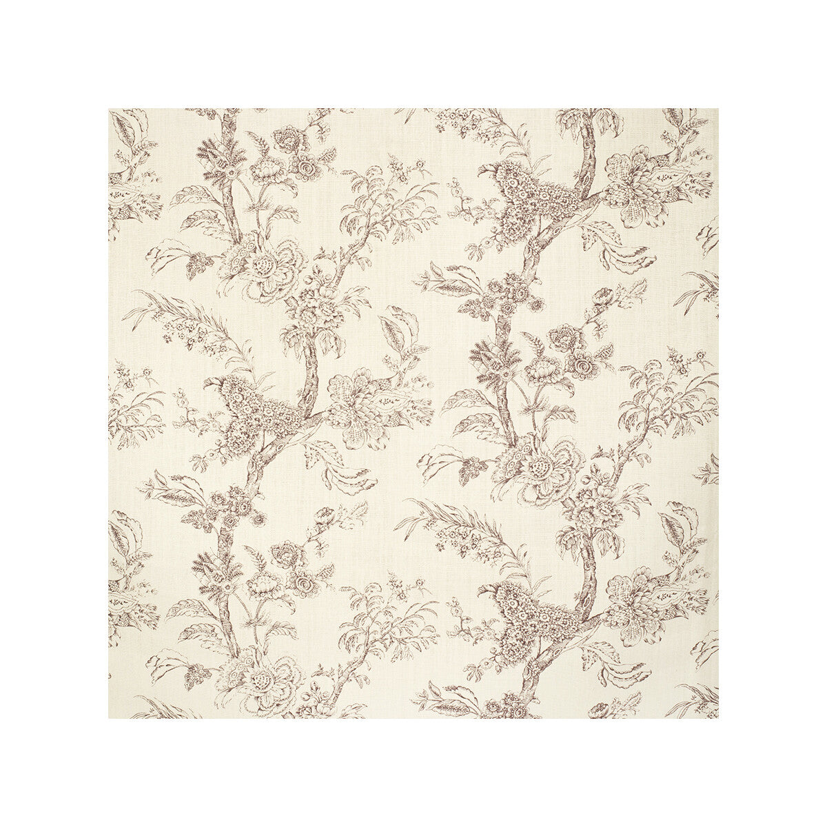 Beijing Blossom-Damson