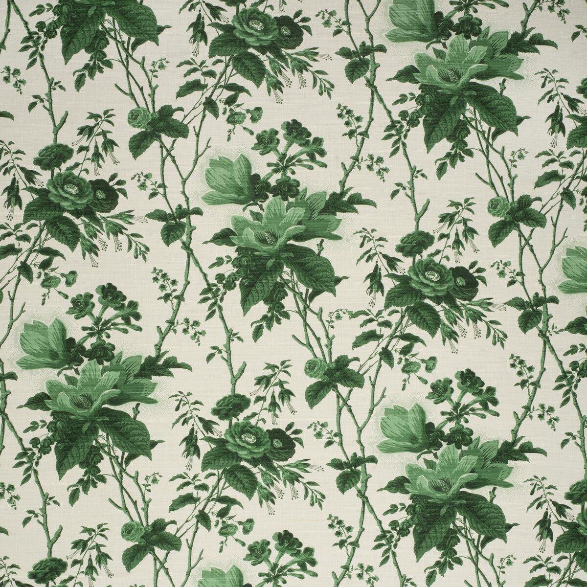 De La Tour-Paolos Green