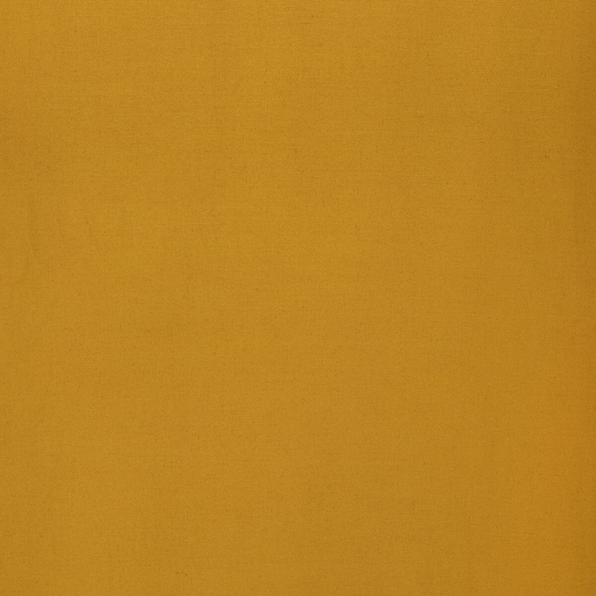 Gistel-Amber