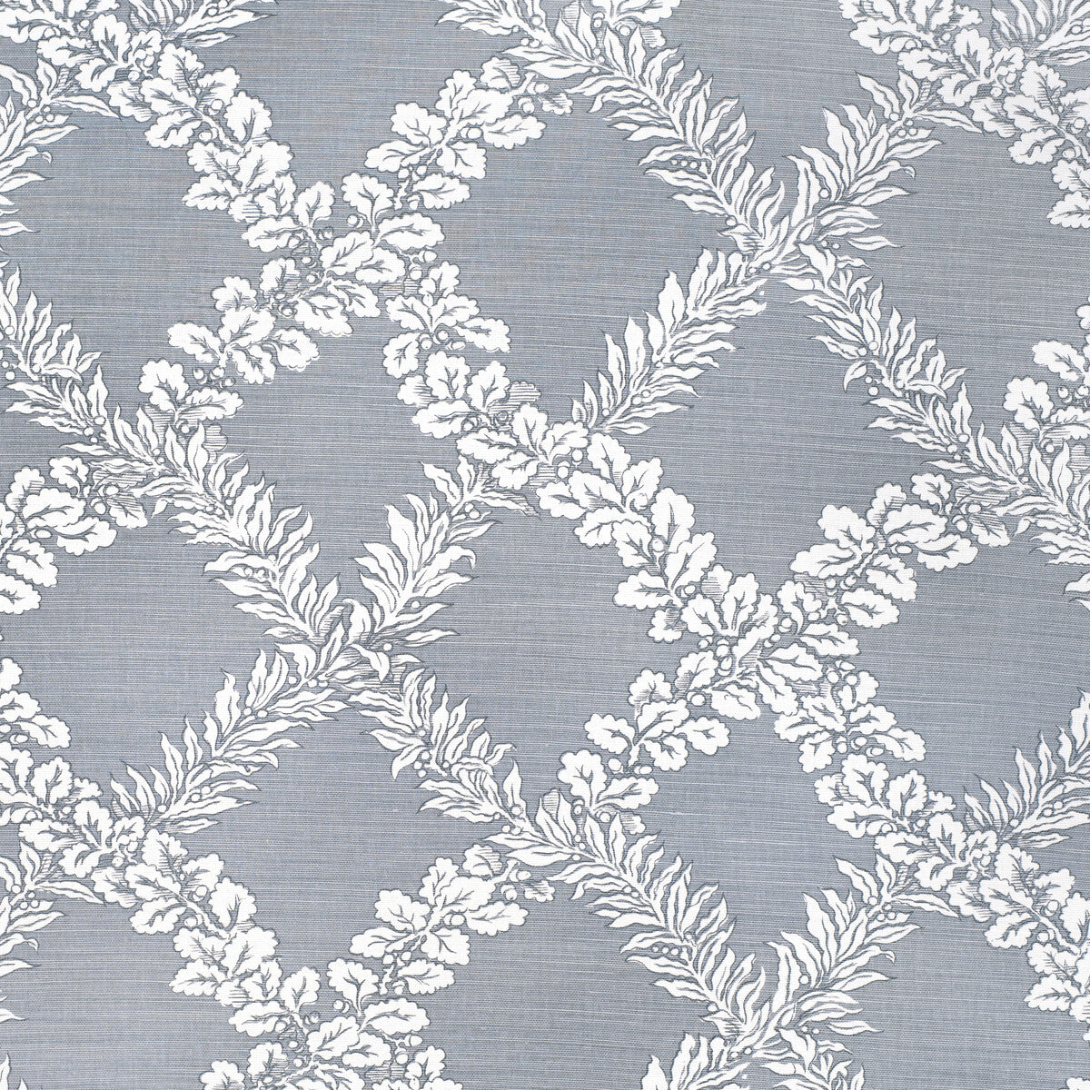 Leaf Trellis-Lichen