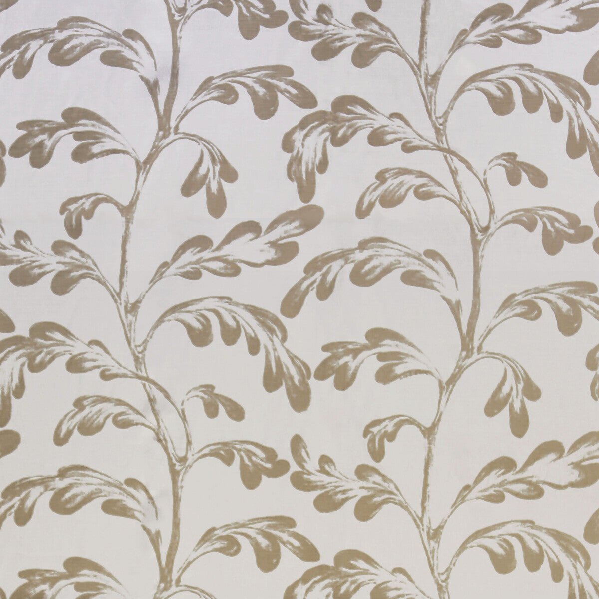 Ava Nivelles Oyster-Taupe