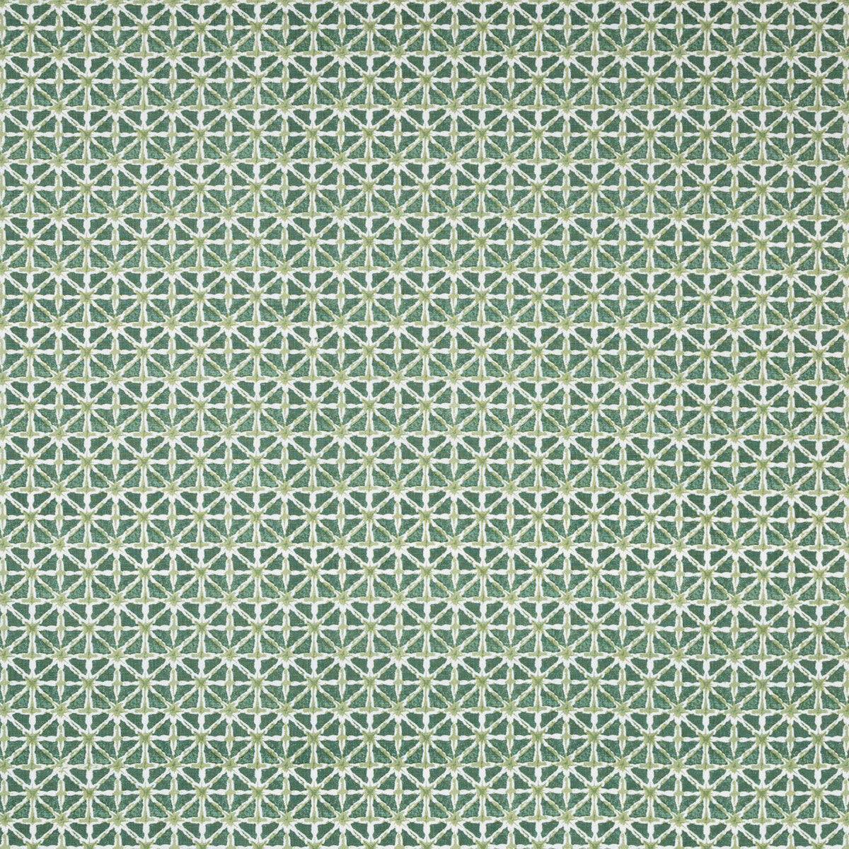 Sylvan Print-Aloe