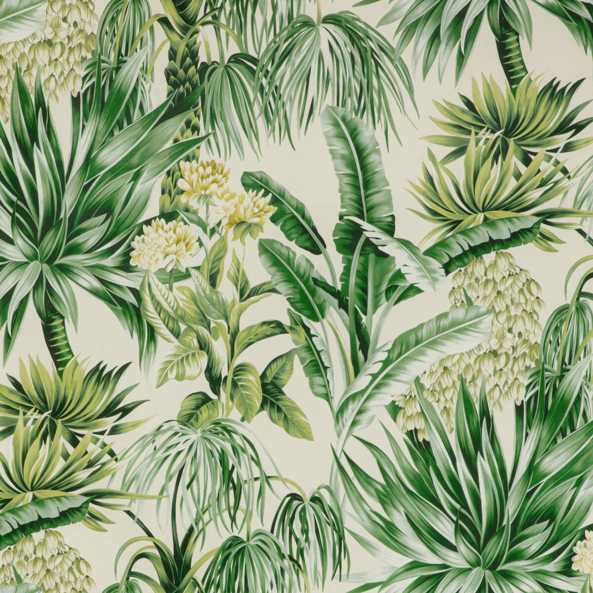 Caluya Print-Palm