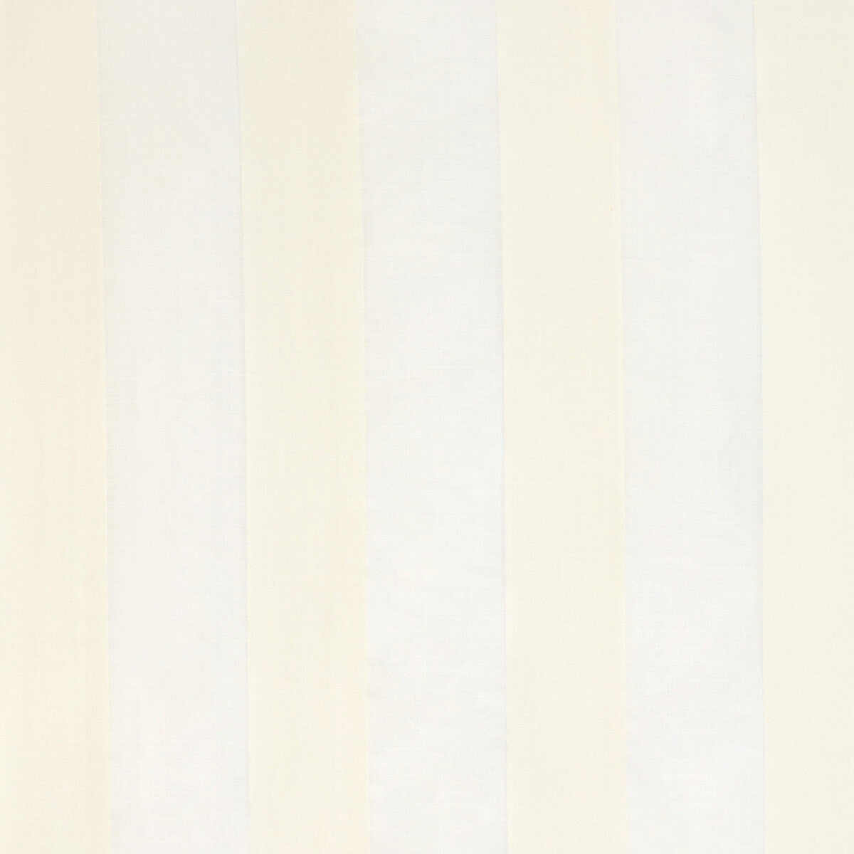 Vincent Sheer-Ecru