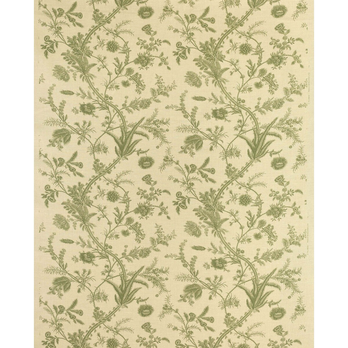 Plumes-Green