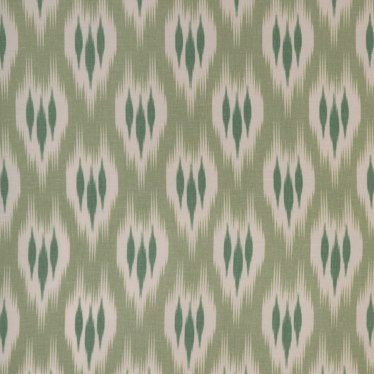 Clare Print-Moss