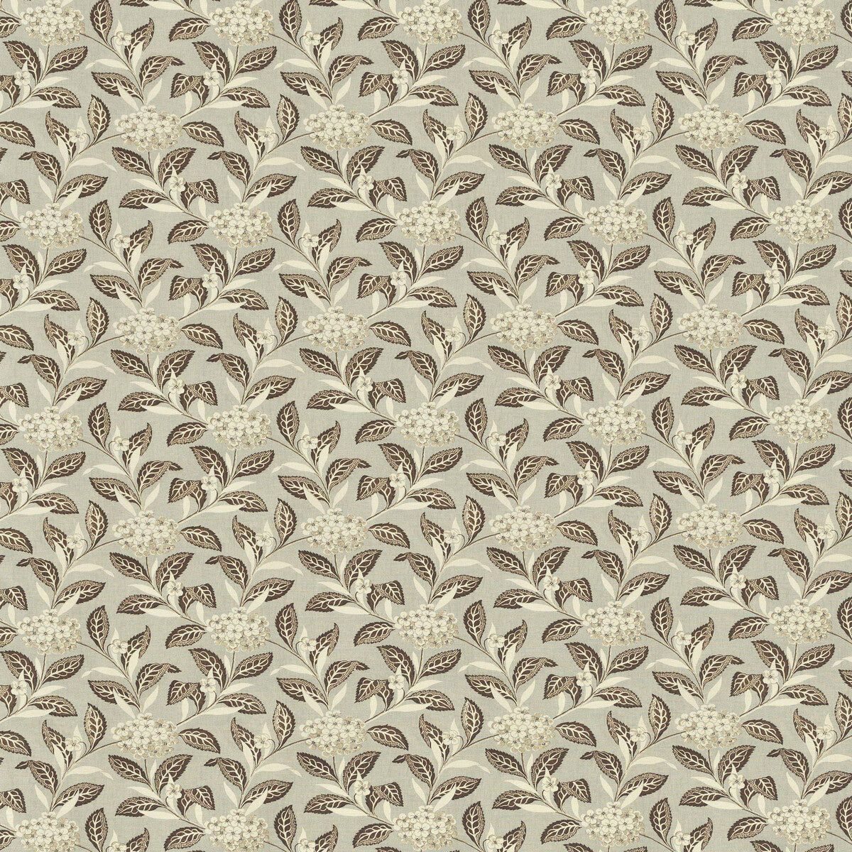 Ortensia-Brown On Celadon