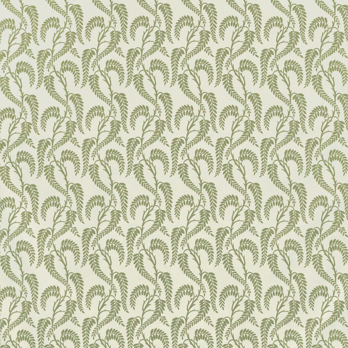 Wisteria-Sage On White