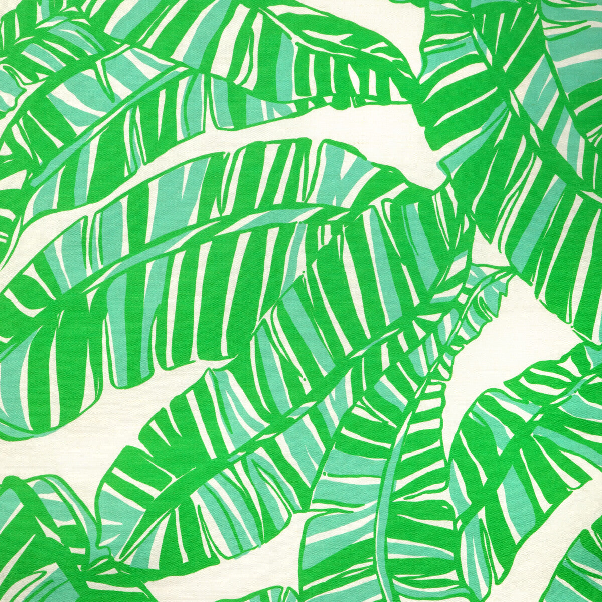 Go Bananas-White/Green