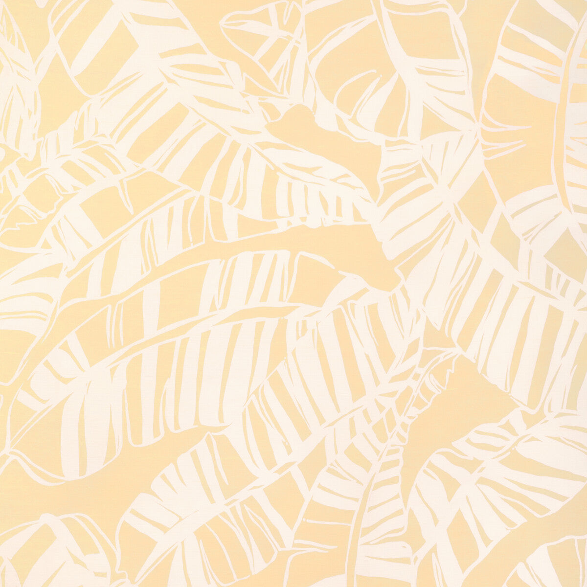 Just Bananas-Sand