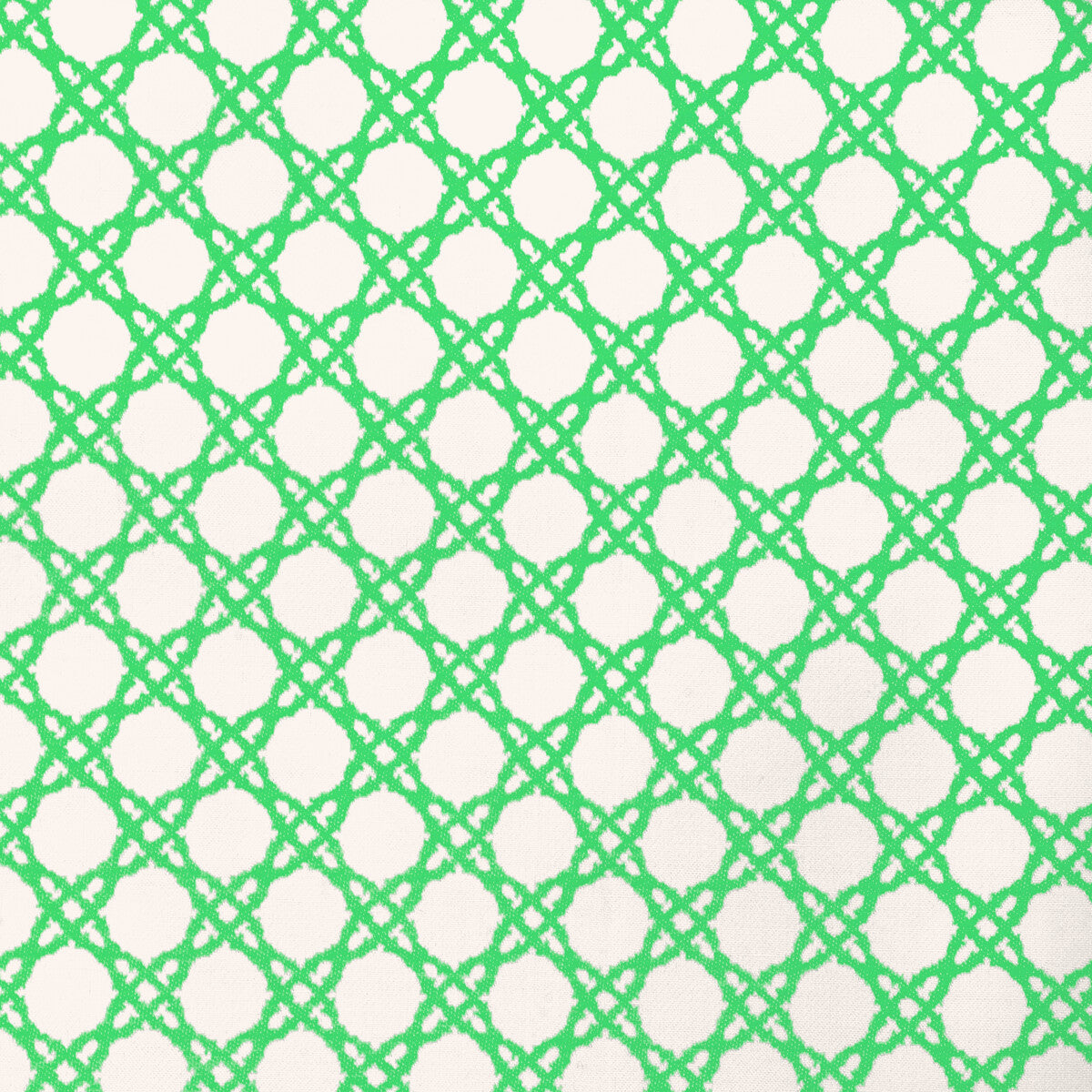 Coastal Cane-Green