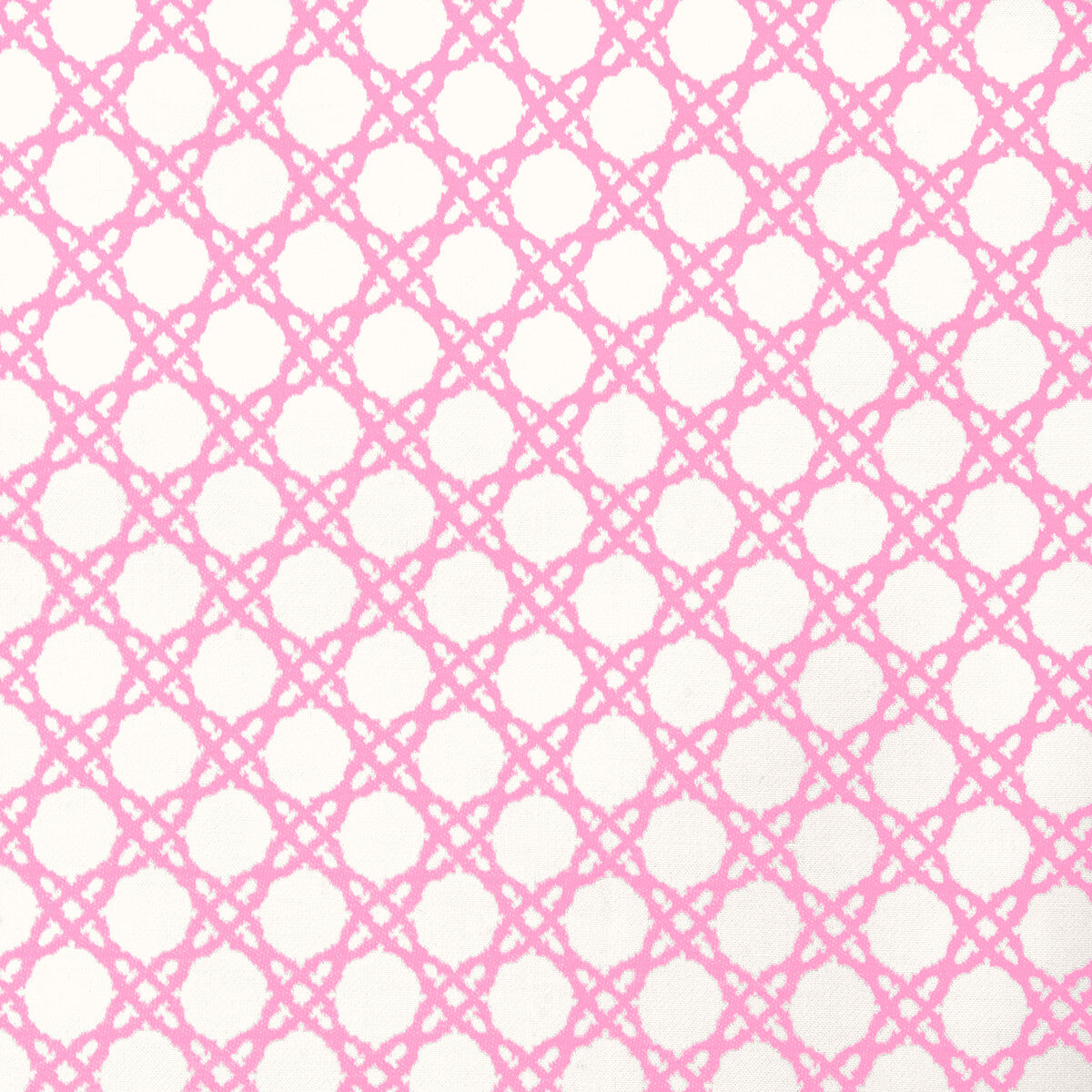 Coastal Cane-Pink