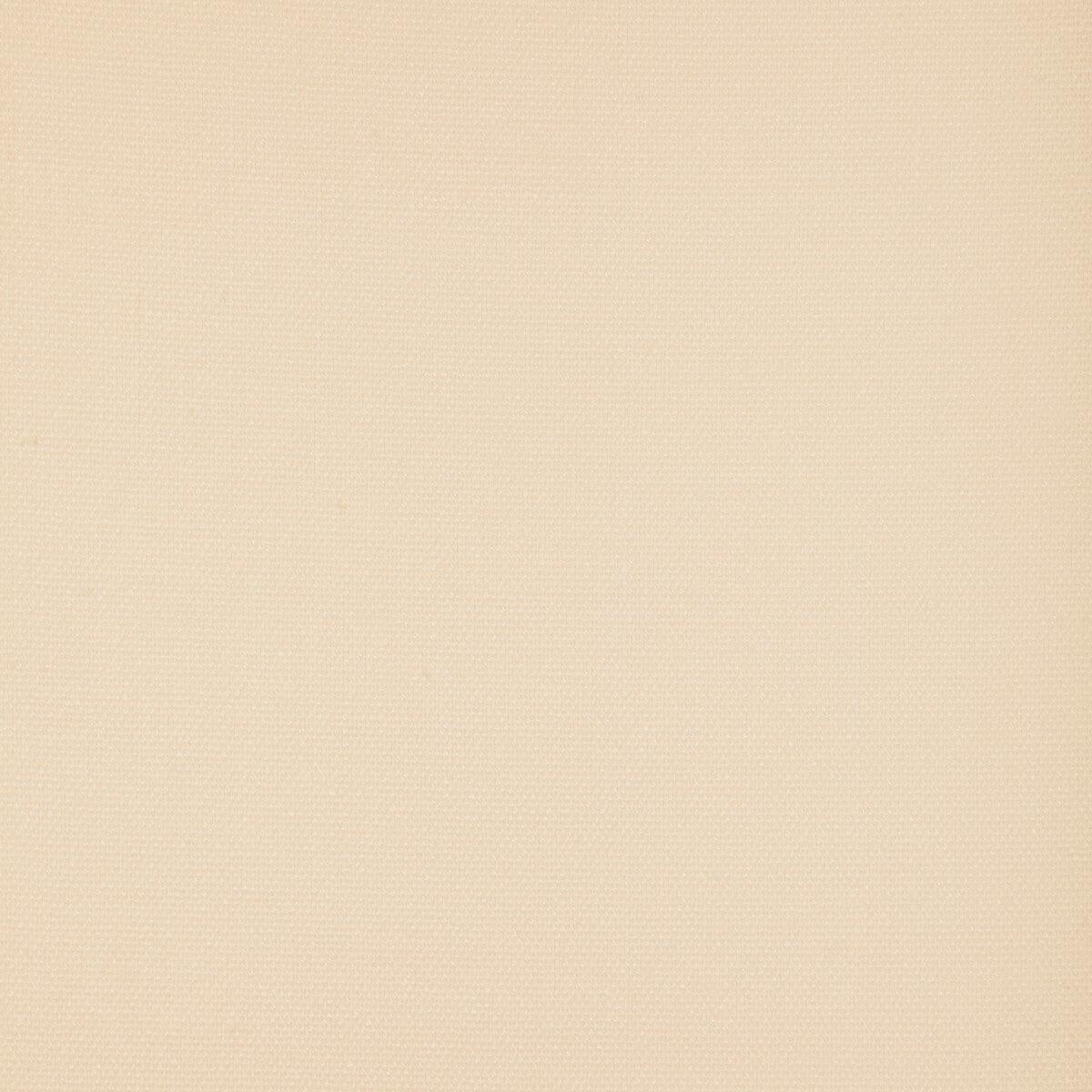 Sarasota Weave-Cream