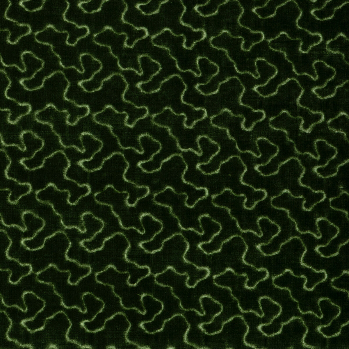 Marlowe Velvet-Leaf