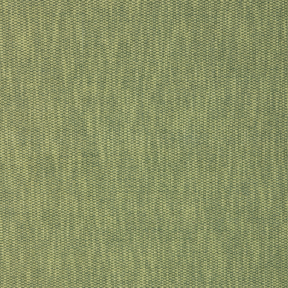 Kirkby Texture-Leaf