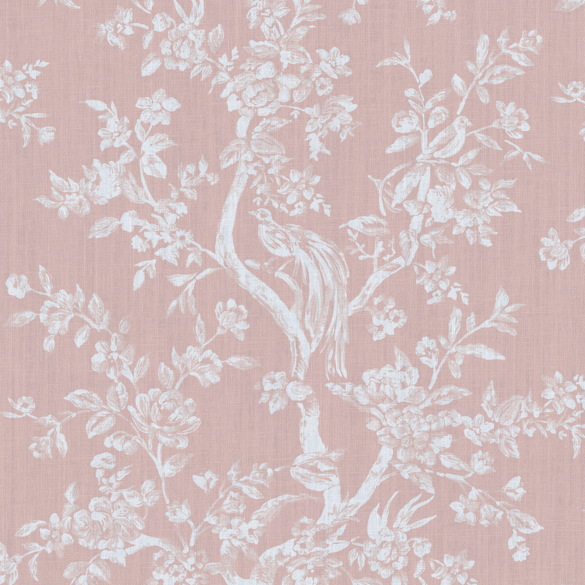 Camellia Toile-Petal