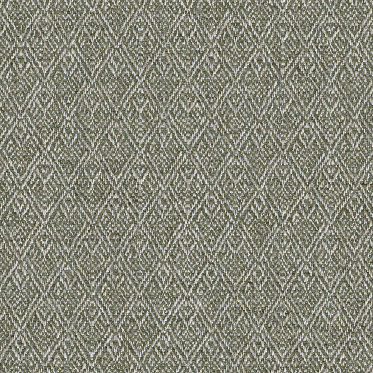 Trellis Weave-Moss