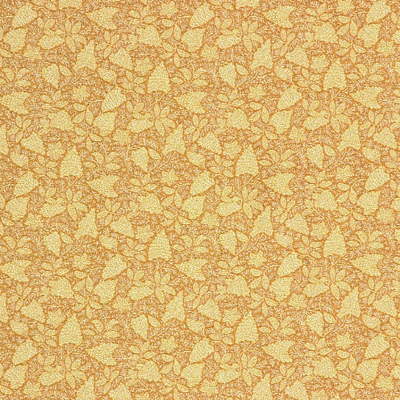 Meredith Weave-Rye