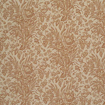 Abigail Toile-Apricot