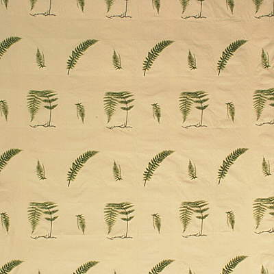 Soft Fern-Ivy