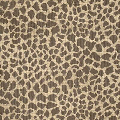Daktari-Leopard