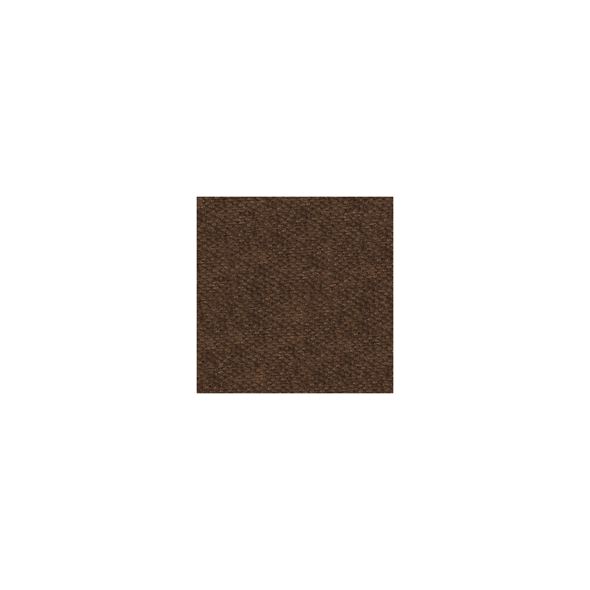 Palmata-Bark