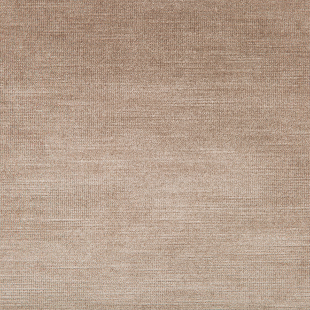 Venetian-Doeskin