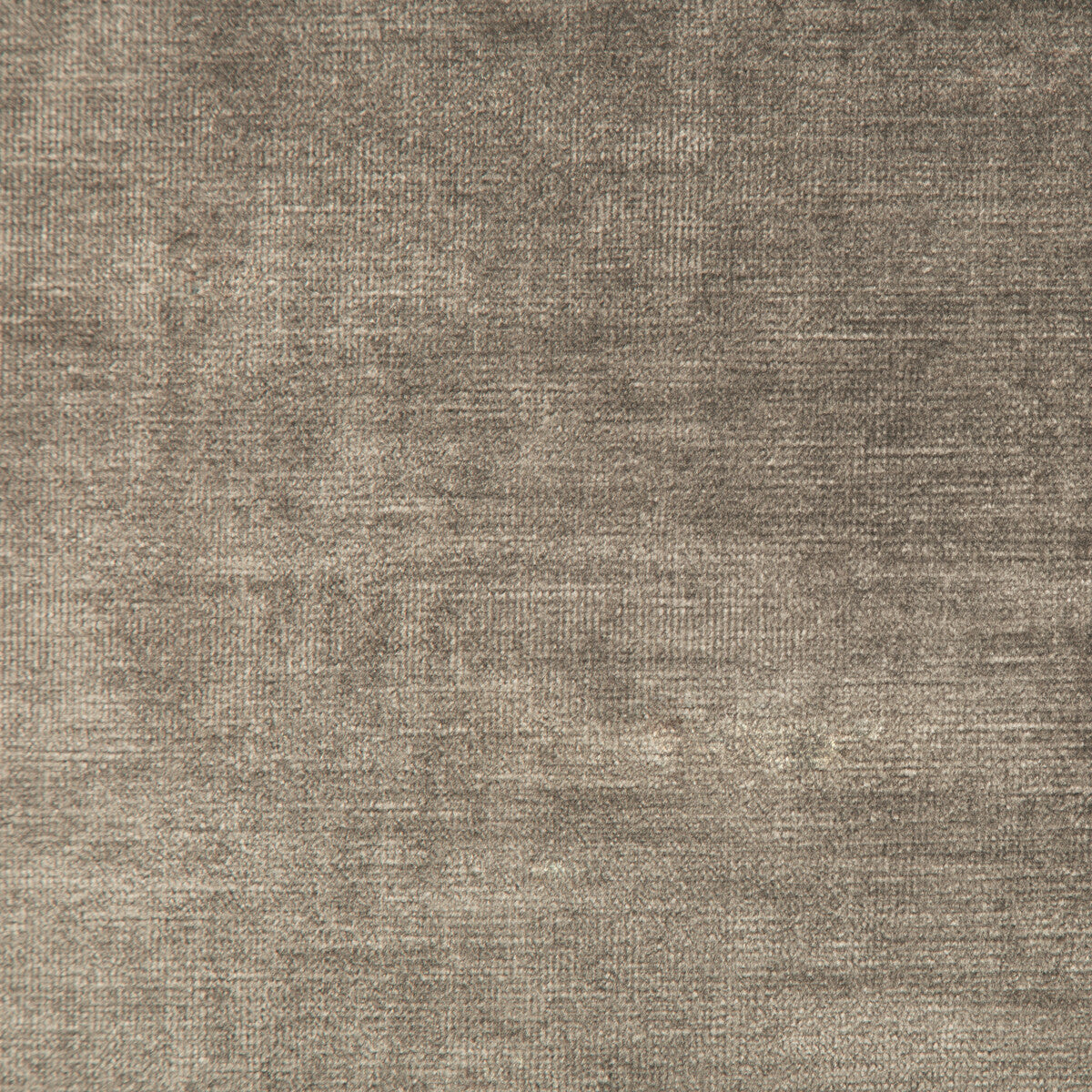 Venetian-Bark