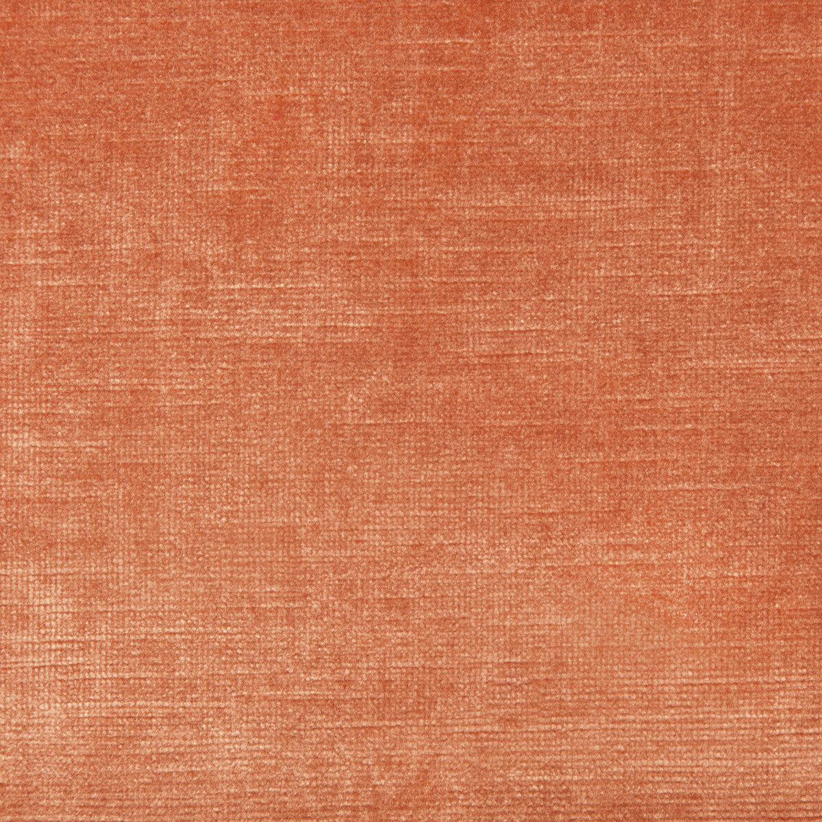 Venetian-Coral