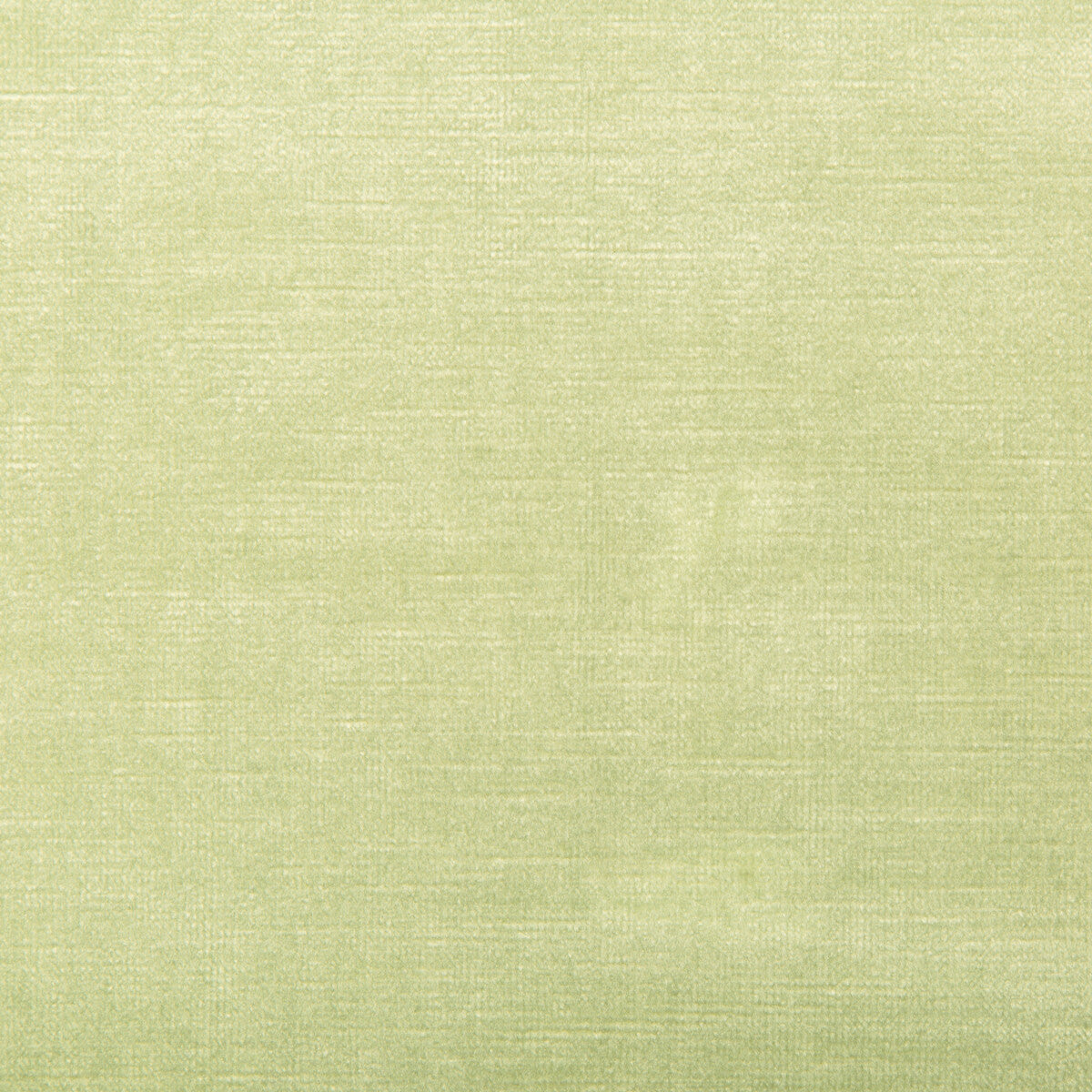 Venetian-Lime