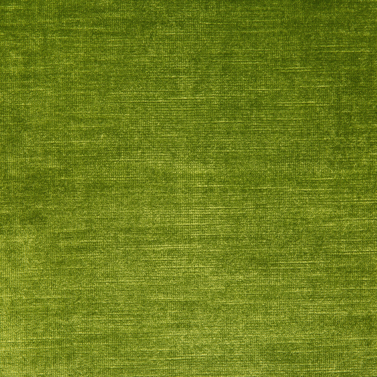 Venetian-Grass