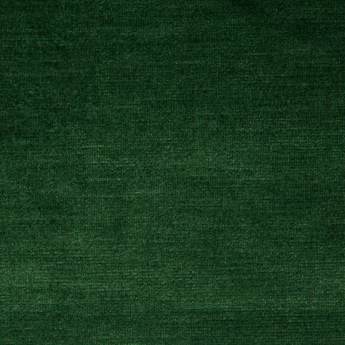 Venetian-Forest