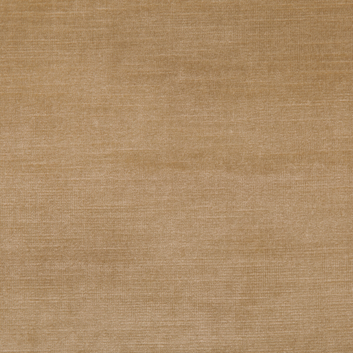 Venetian-Almond