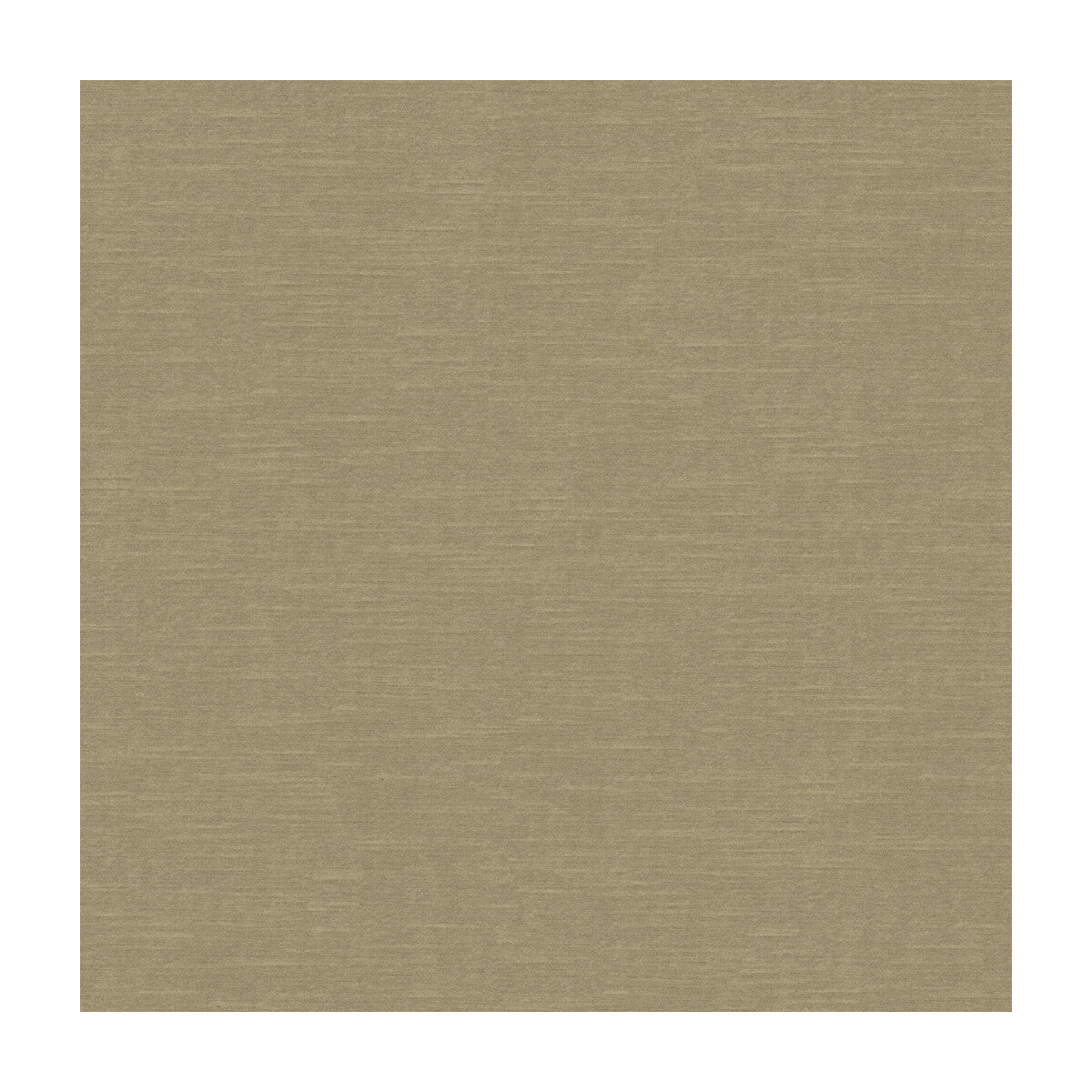 Venetian-Birch
