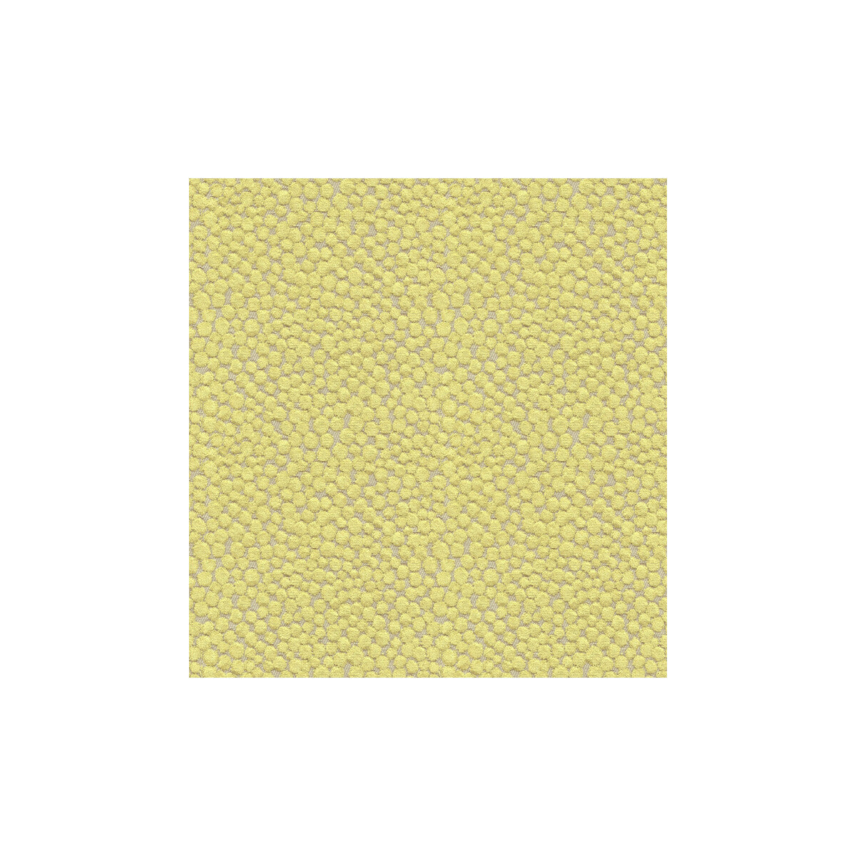Polka Dot Plush-Wasabi