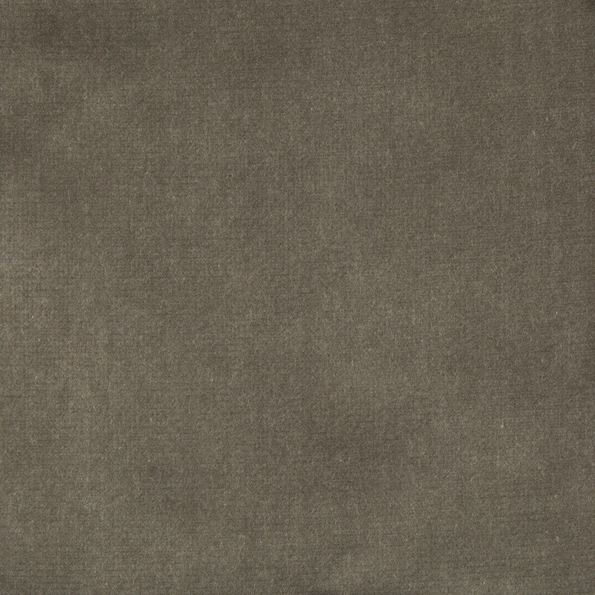 Velvet Treat-Grey