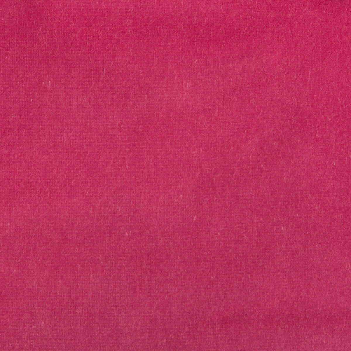 Velvet Treat-Hot Pink