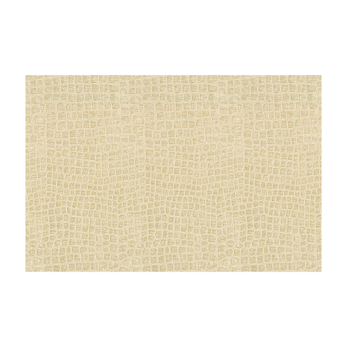 Finnian-Coconut