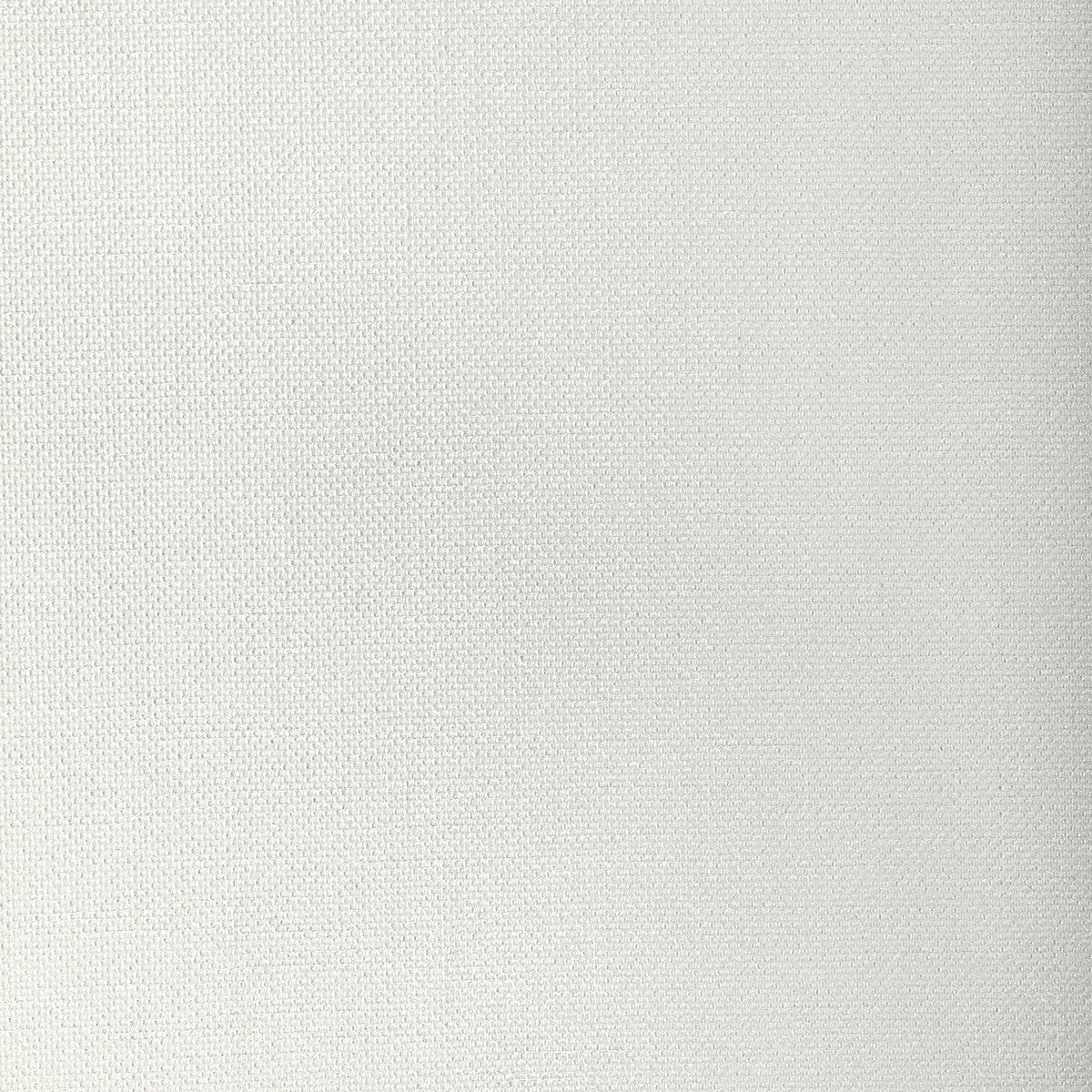 Kravet Basics-33120-111